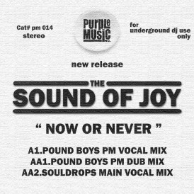 Sound of Joy 'Now or Never' (Purple Music)